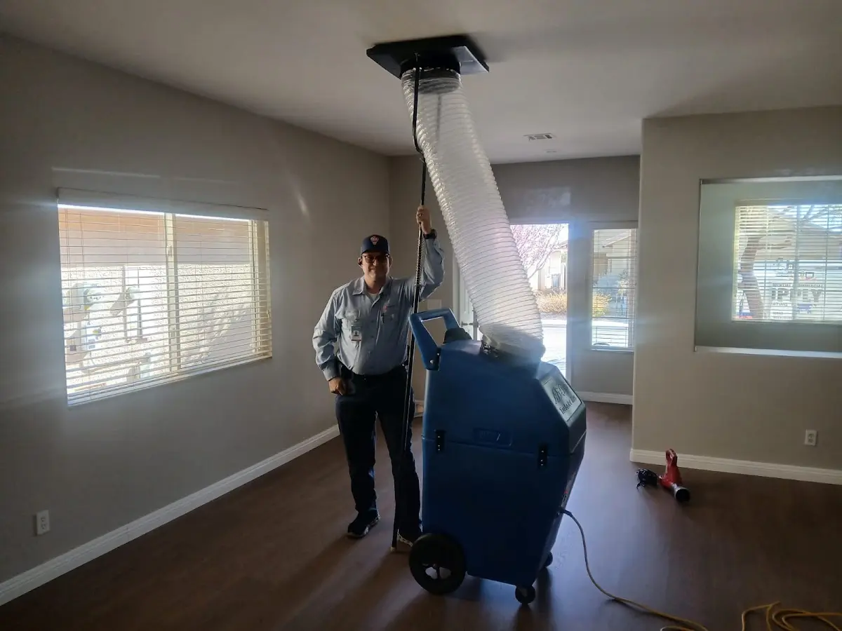 Professional Dryer Vent Cleaning work inside a Hazel Crest home